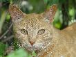 DSC04959.JPG