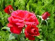 DSC04970.JPG