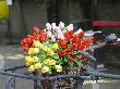 DSC04999.JPG