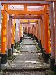 DSC07946.JPG