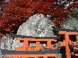 DSC07952.JPG