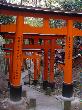 DSC07960.JPG