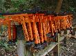 DSC07965.JPG