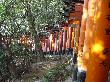 DSC07977.JPG