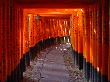 DSC07994.JPG