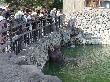 DSC08420.JPG