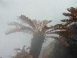 DSC08450.JPG
