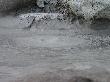 DSC08466.JPG