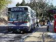 DSC08471.JPG