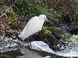 DSC08483.JPG