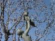 DSC08749.JPG