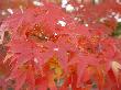 DSC08023.JPG