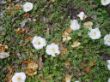 DSC00945.JPG